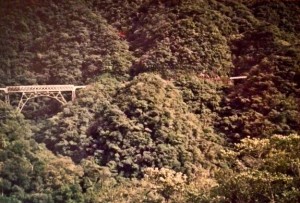 first photograph